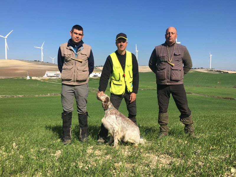 CH. Jawak du Parc des Chaumes