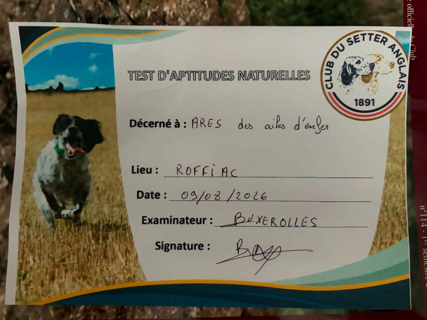 Premières récompenses obtenues pour les "AILES D'ENFER" au TAN Roffiac (15) avec ARES à ELIE ROCHE et ANGIE